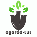 ogorod-tut.ru